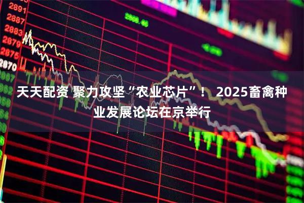 天天配资 聚力攻坚“农业芯片”！ 2025畜禽种业发展论坛在京举行