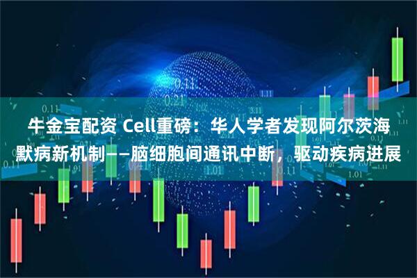 牛金宝配资 Cell重磅：华人学者发现阿尔茨海默病新机制——脑细胞间通讯中断，驱动疾病进展