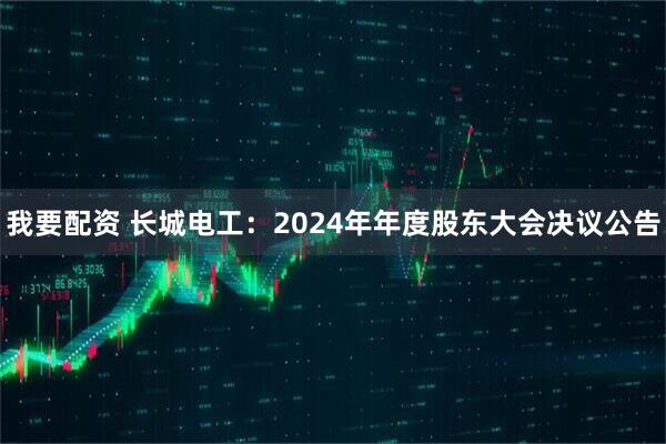 我要配资 长城电工：2024年年度股东大会决议公告