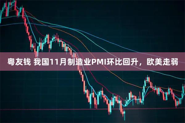 粤友钱 我国11月制造业PMI环比回升,欧美走弱